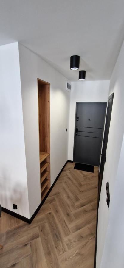 שויבודזיצה Apartament Ksiaz מראה חיצוני תמונה