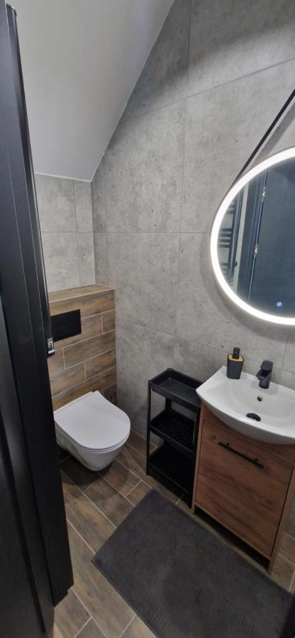 שויבודזיצה Apartament Ksiaz מראה חיצוני תמונה