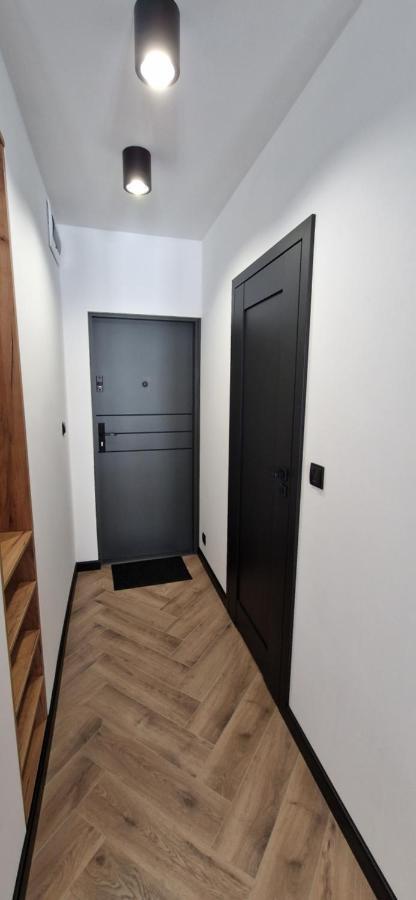 שויבודזיצה Apartament Ksiaz מראה חיצוני תמונה