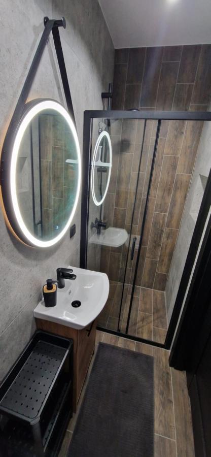 שויבודזיצה Apartament Ksiaz מראה חיצוני תמונה