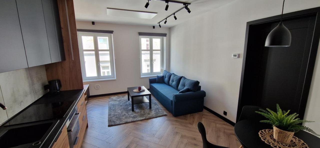שויבודזיצה Apartament Ksiaz מראה חיצוני תמונה